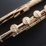 Querflöte Haynes - Generalüberholung mit Reinigung und Politur inklusive Bepolsterung mit Straubinger System